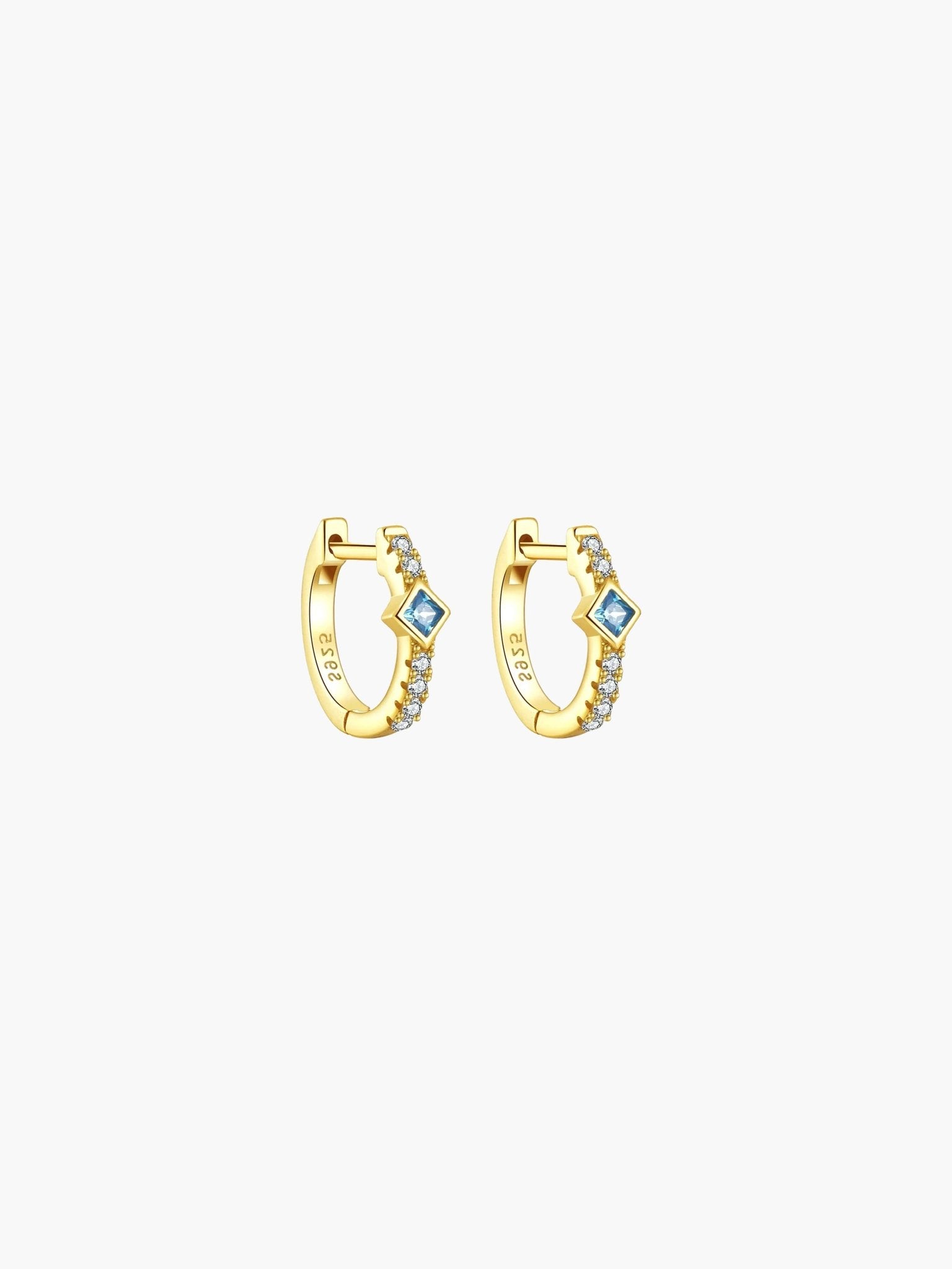ZEYA - Amber Hoop Earrings