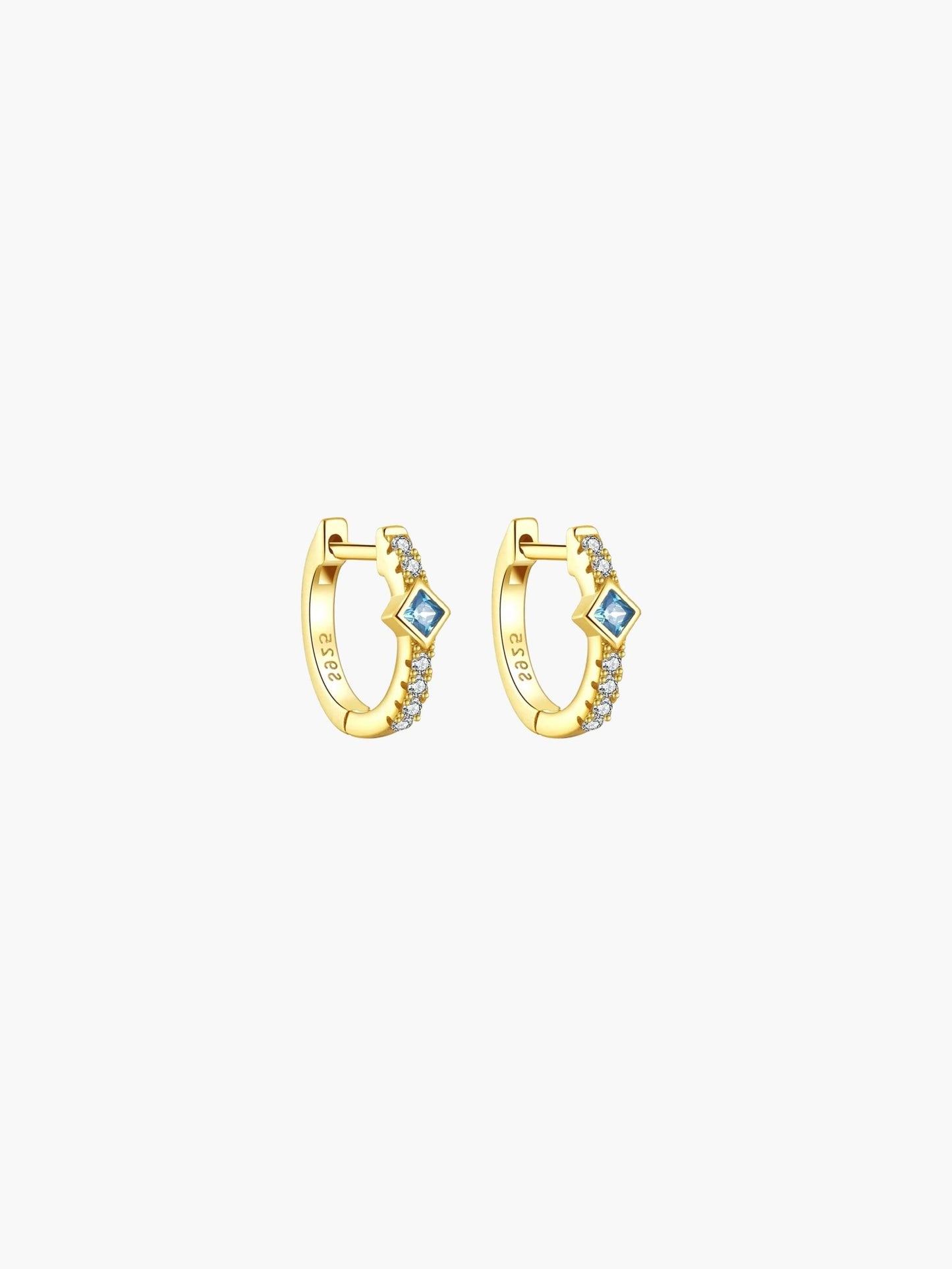 ZEYA - Amber Hoop Earrings